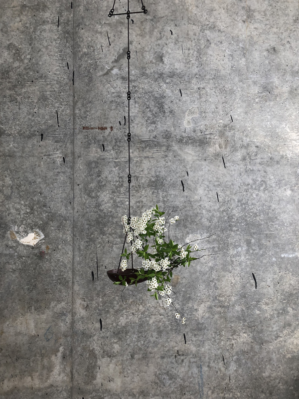 050425, breath of spring spiraea, copper bowl, iron chain