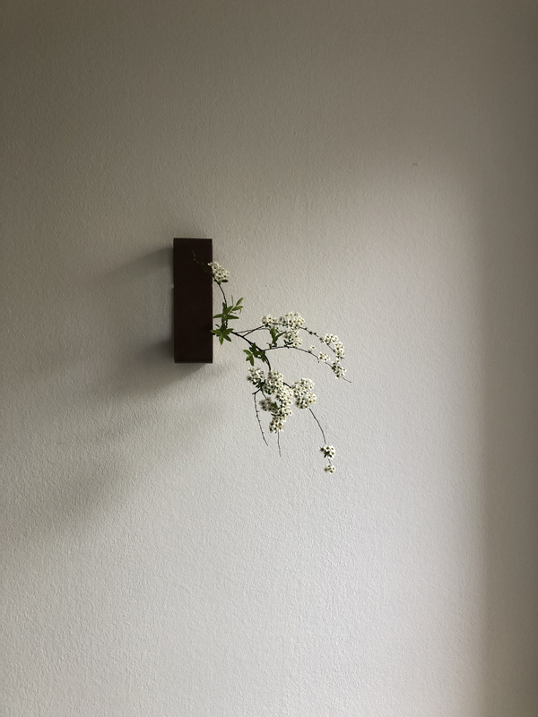 250225, breath of spring spiraea, copper wall object, bronze vase