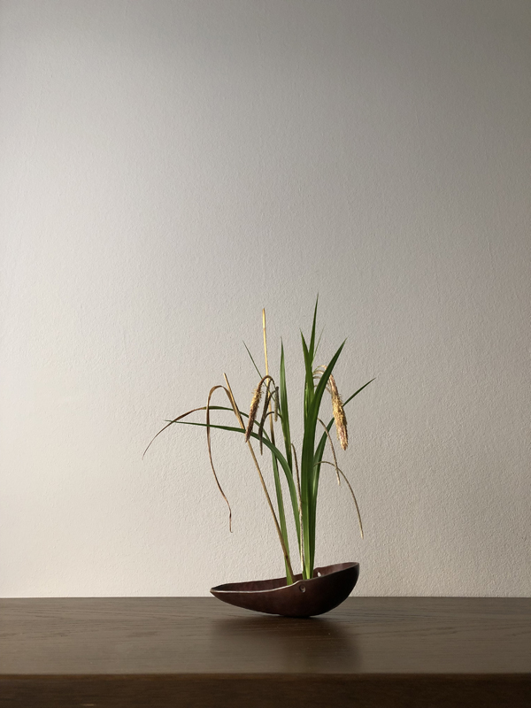 250425, weeping sedge, copper bowl