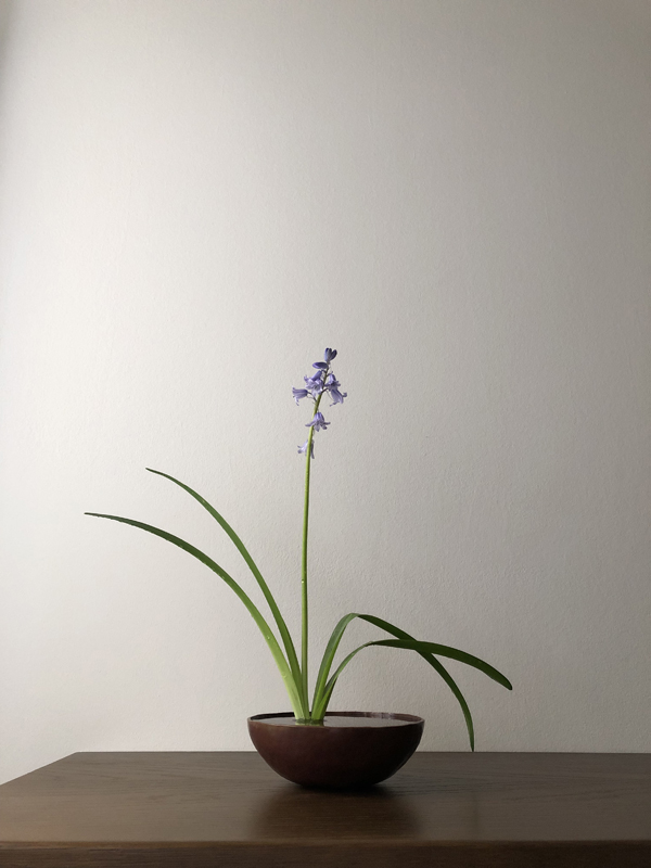 120424, wood hyacinth, copper bowl