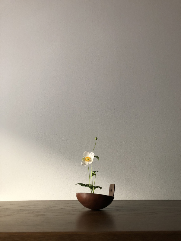 290924, white anemone, copper bowl